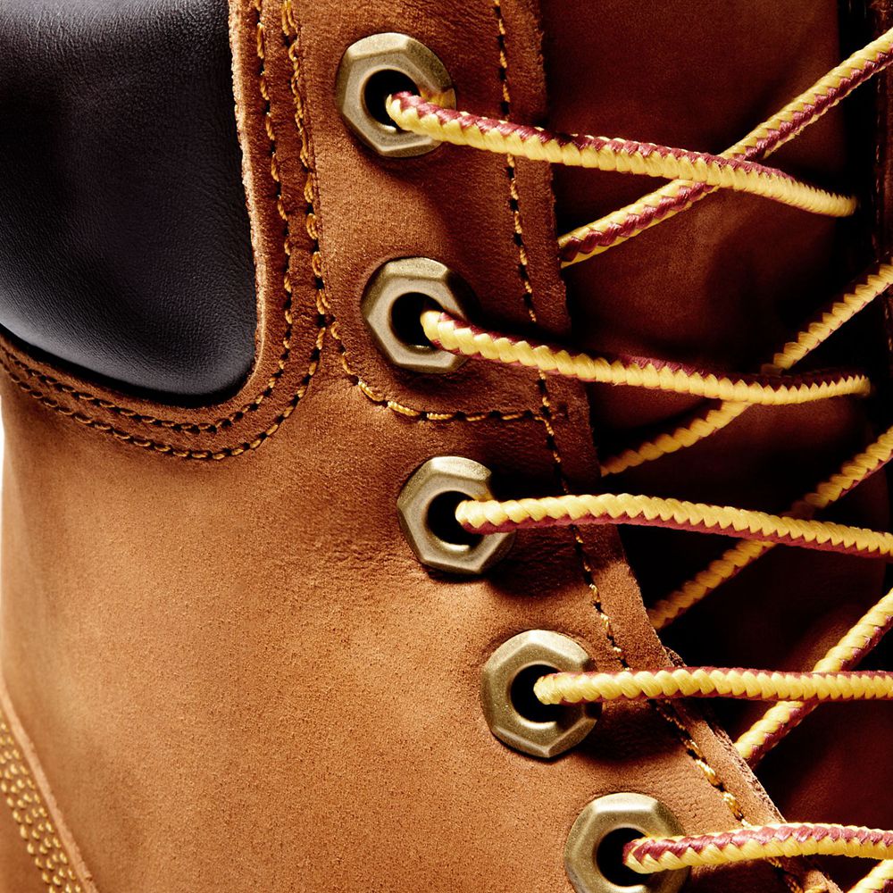 Bota Neve Masculino - Timberland 6-Inch Basic Impermeavel W/Padded Collar - TBDFR5176 - Marrom